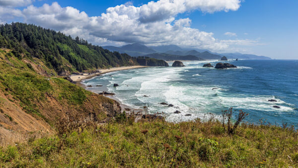 Cannon Beach Is A Dream