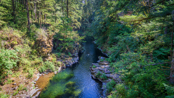 Moulton Falls Regional Park