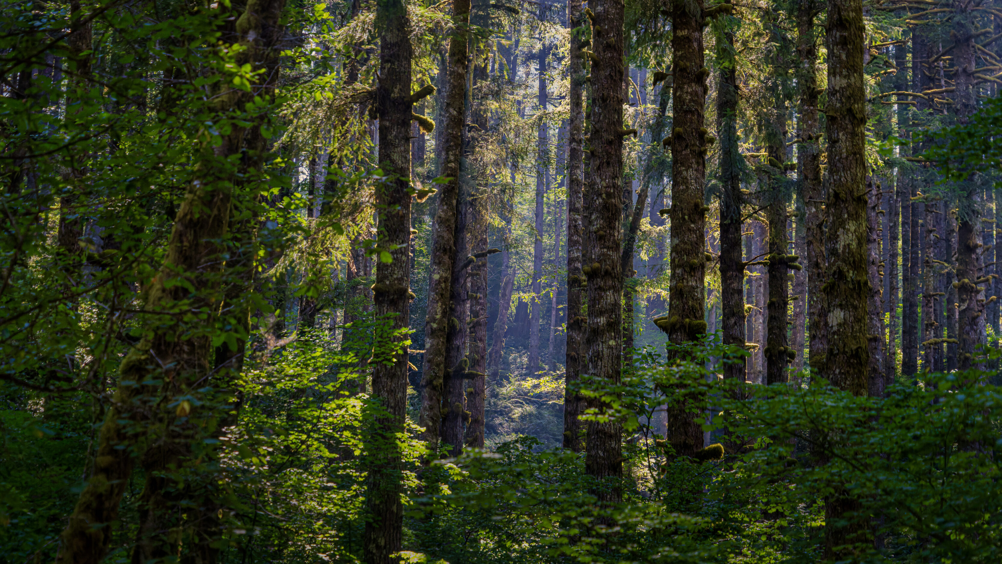 Moulton Falls Regional Park