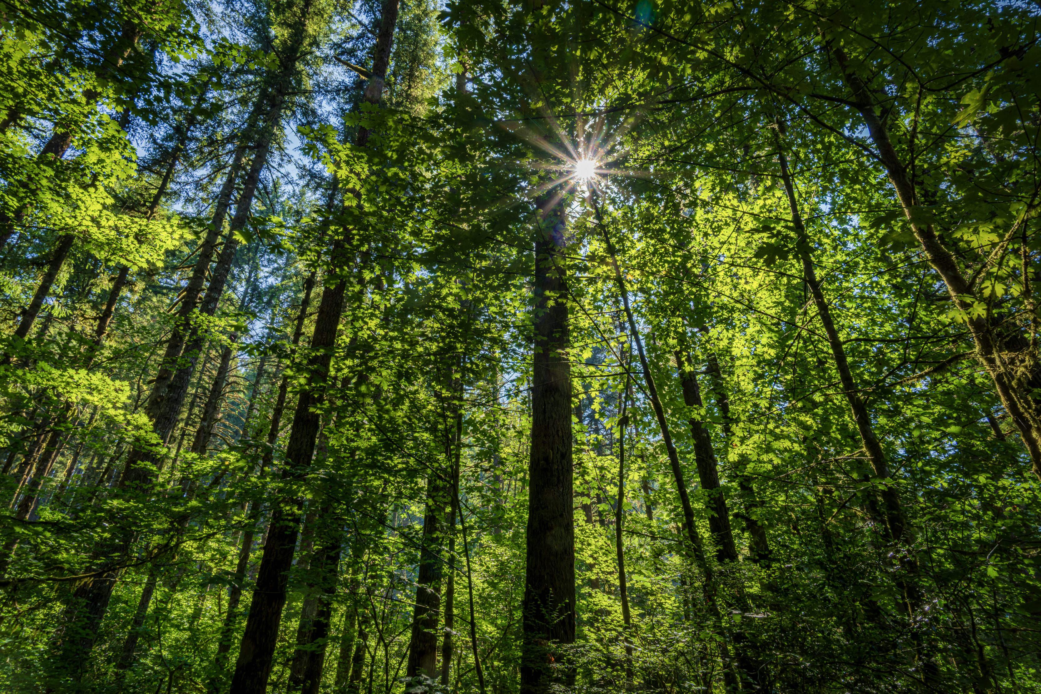 Moulton Falls Regional Park