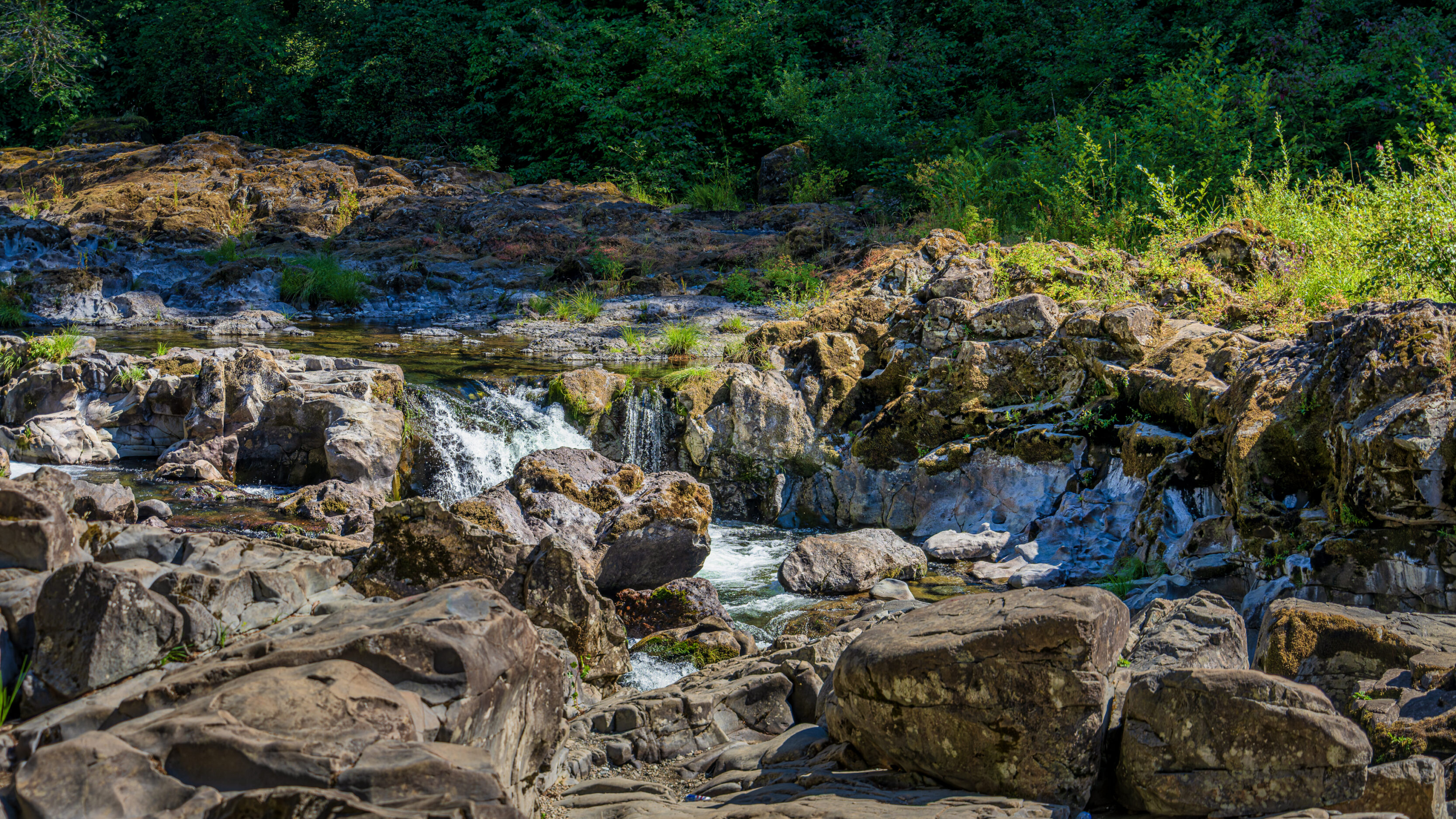 Moulton Falls Regional Park