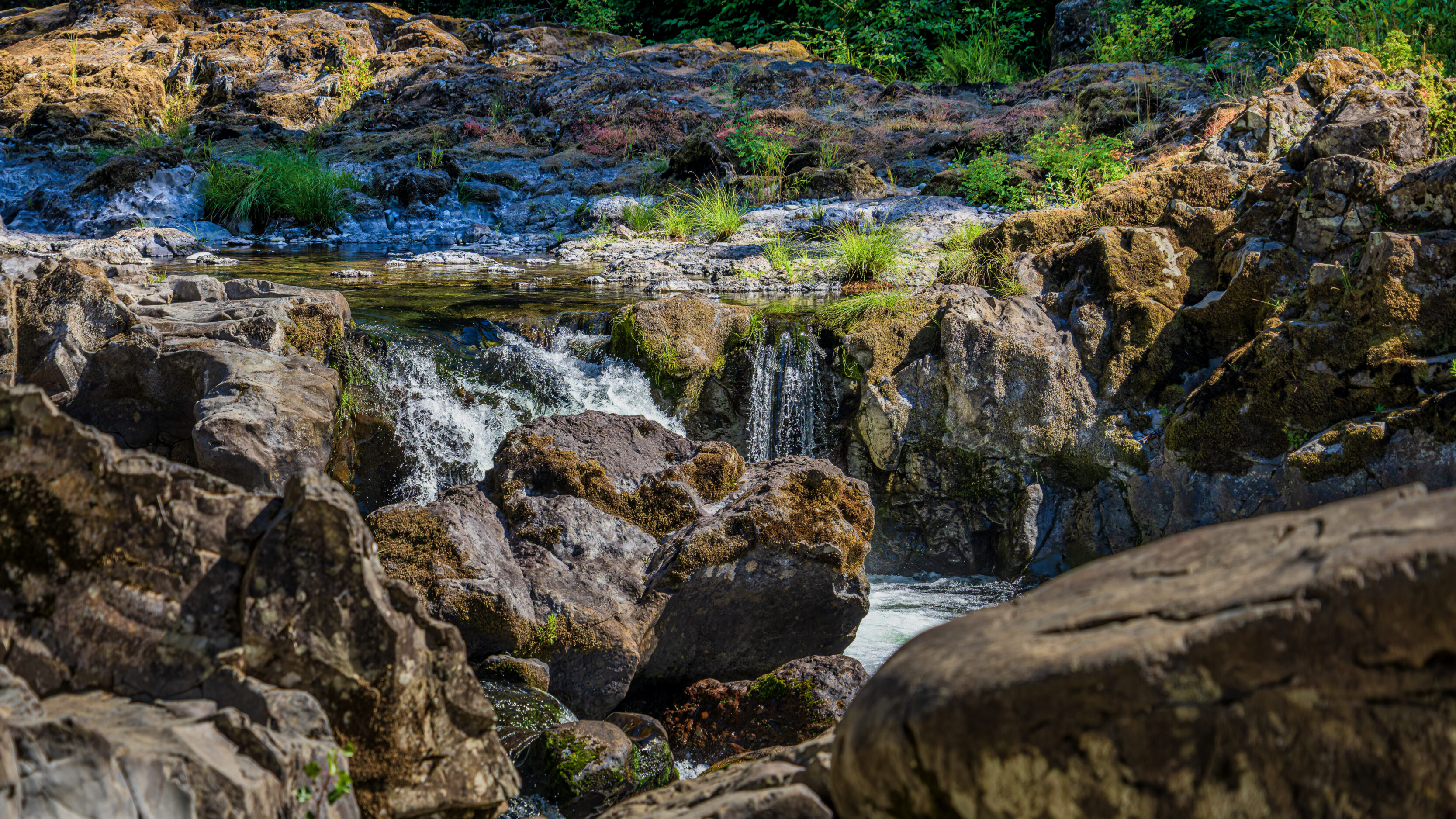 Moulton Falls Regional Park