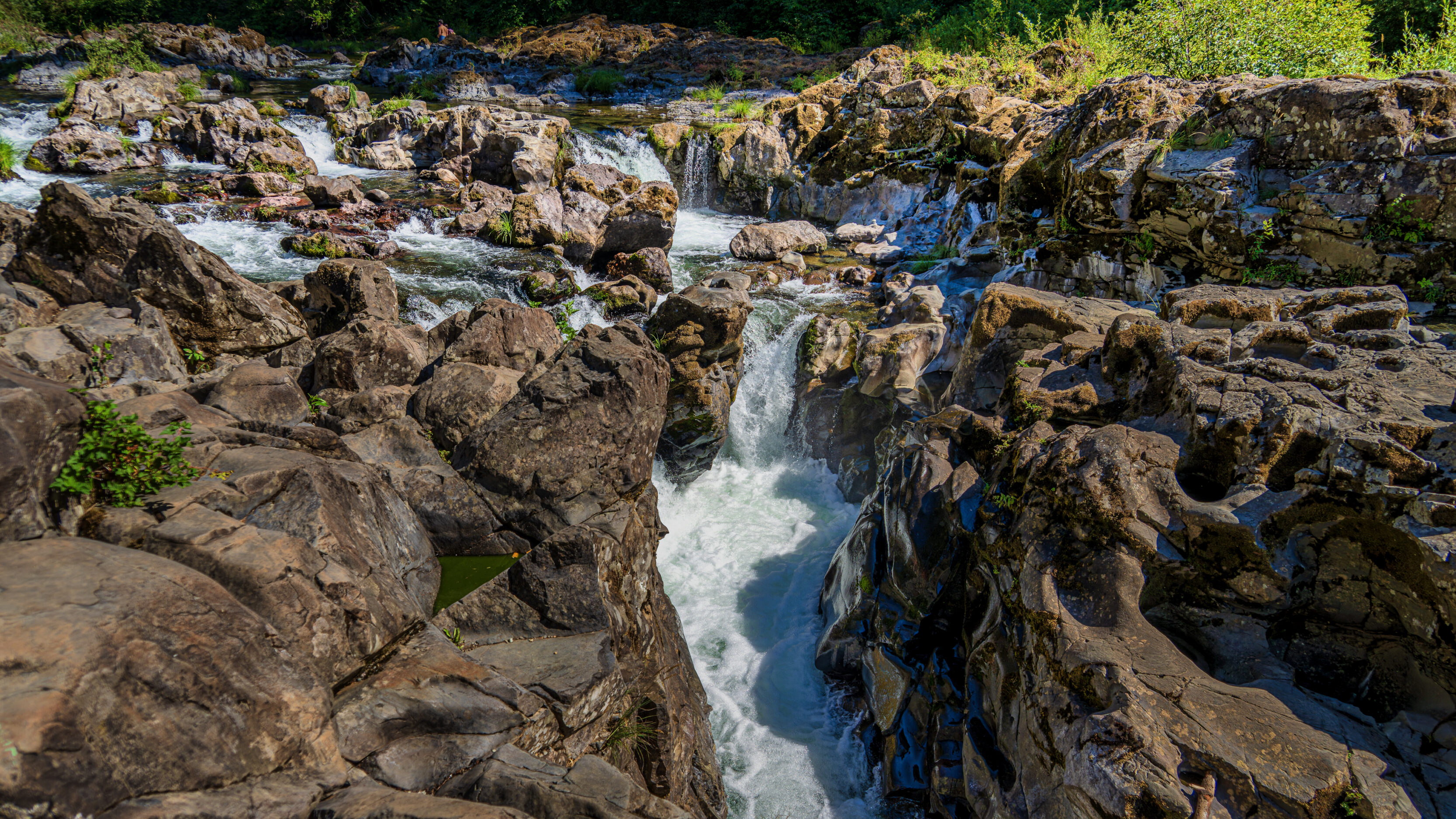 Moulton Falls Regional Park