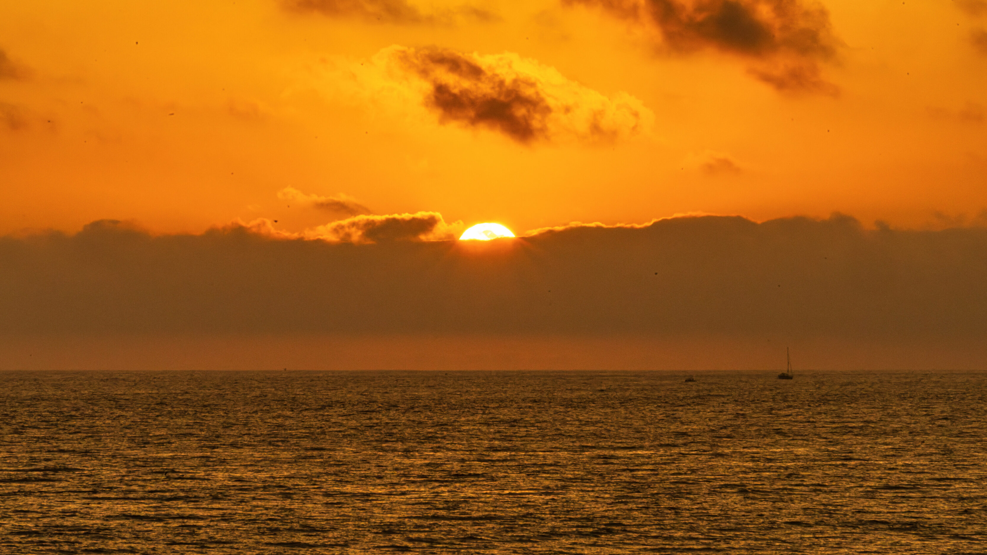 Carlsbad State Beach