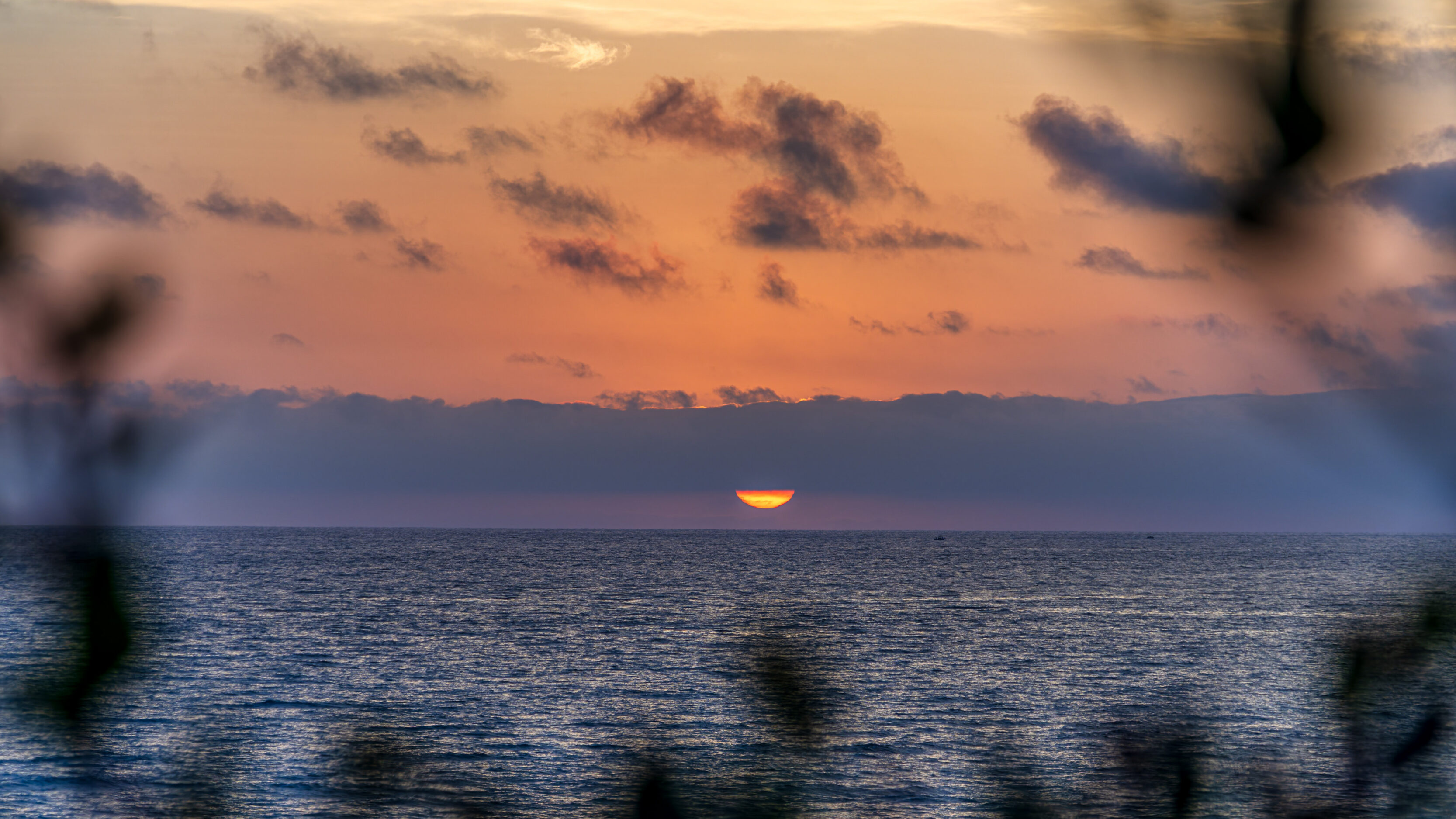 Sunset over the ocean with an orange-pink sky and the sun half below the horizon, blurred foreground silhouettes present