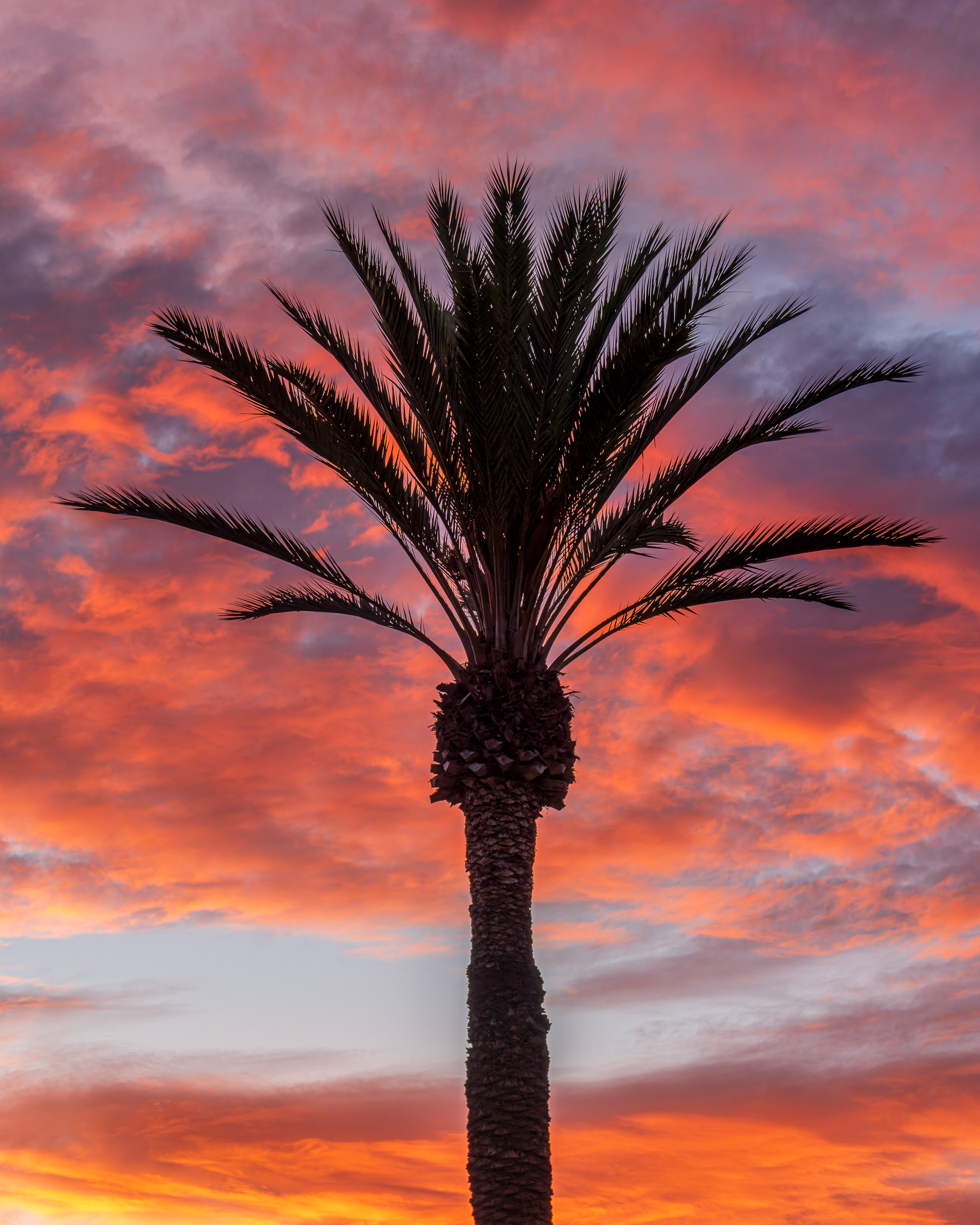 2026_08_13_Grand_Pacific_Palisades_Sunset_0051-Edit_2500 ‣ In The Viewfinder A Carlsbad Sunset From Above The Beach