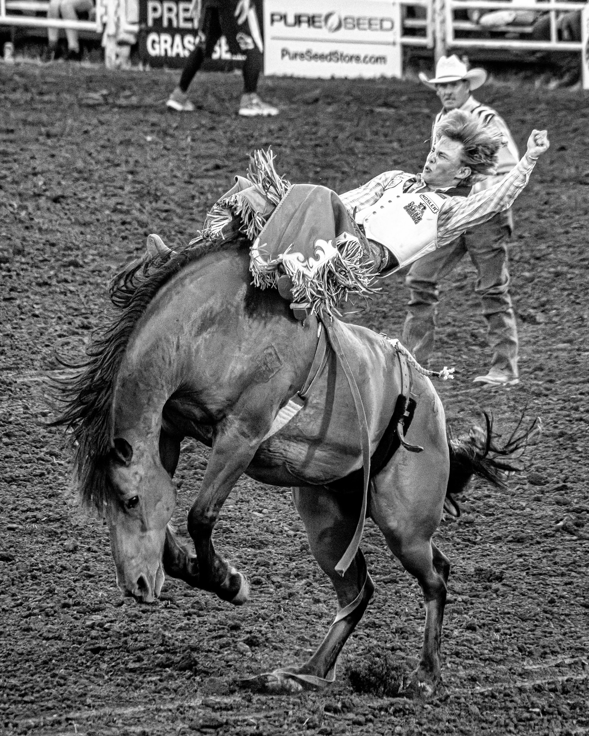 The Canby Rodeo