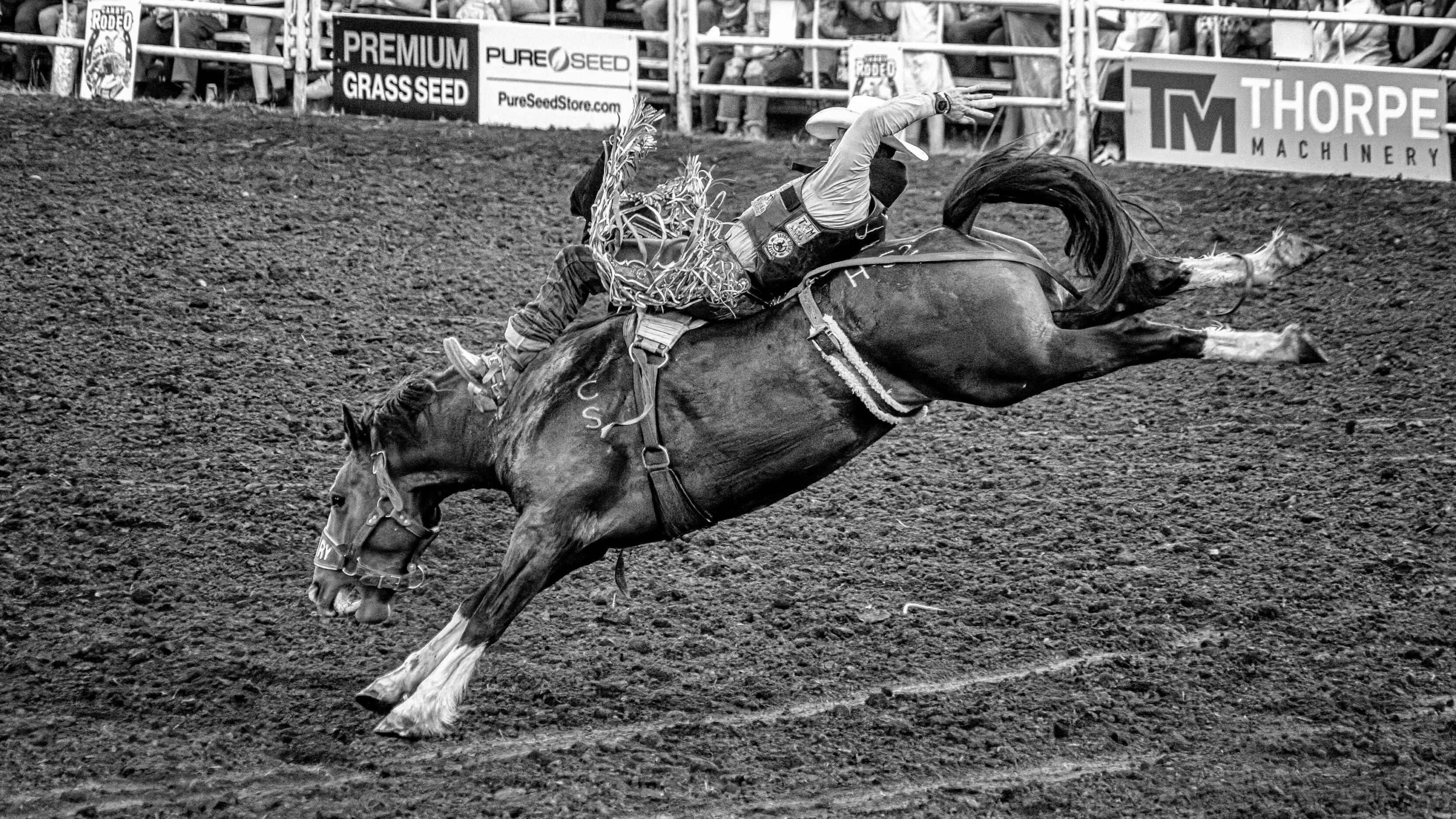 The Canby Rodeo