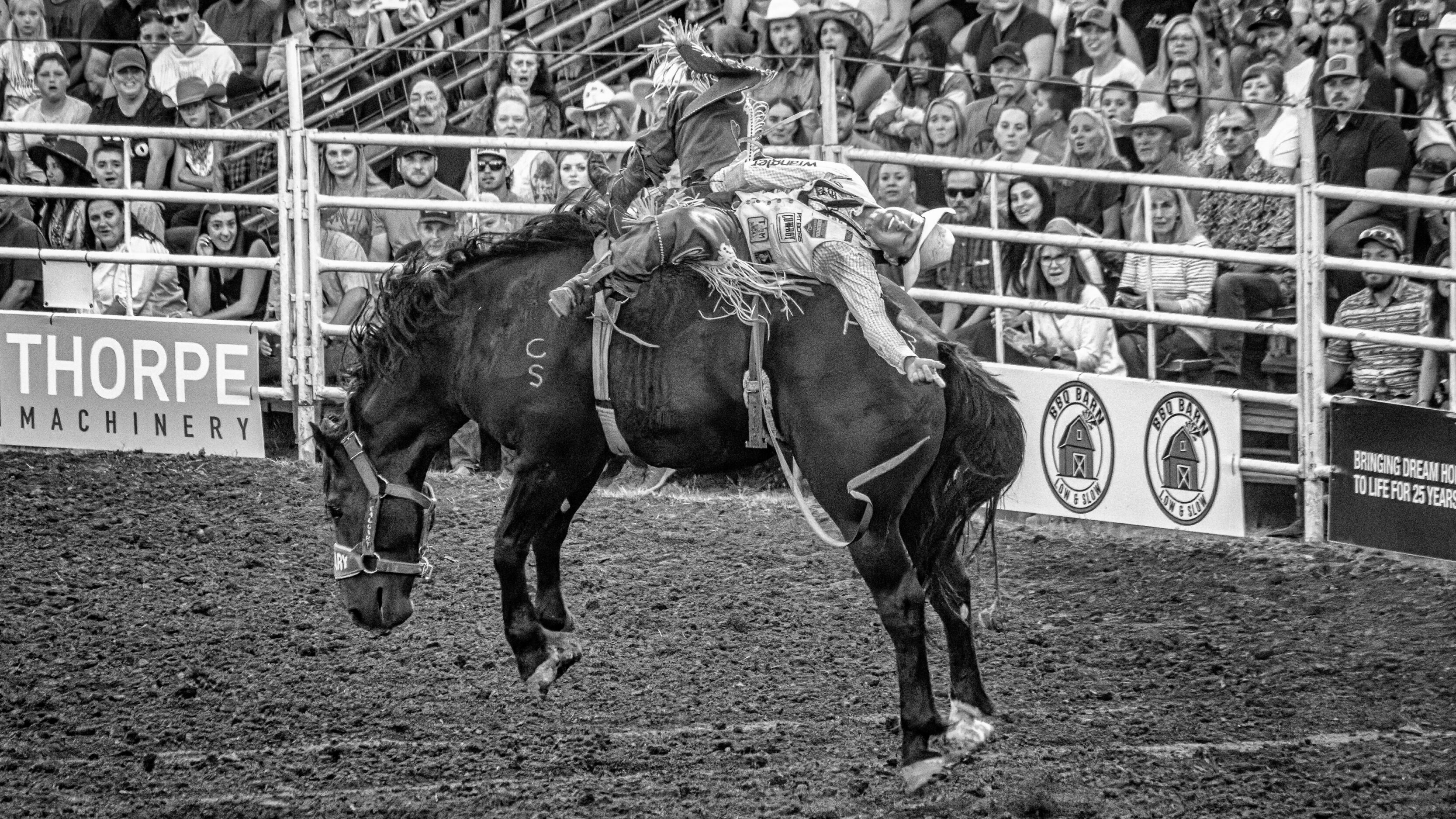 The Canby Rodeo