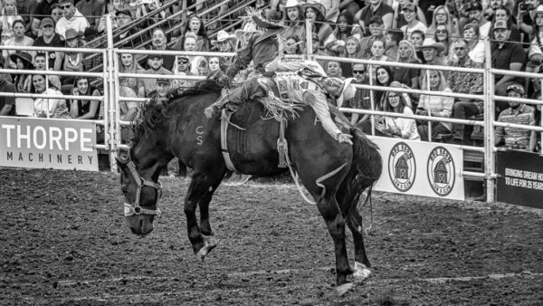 The Canby Rodeo