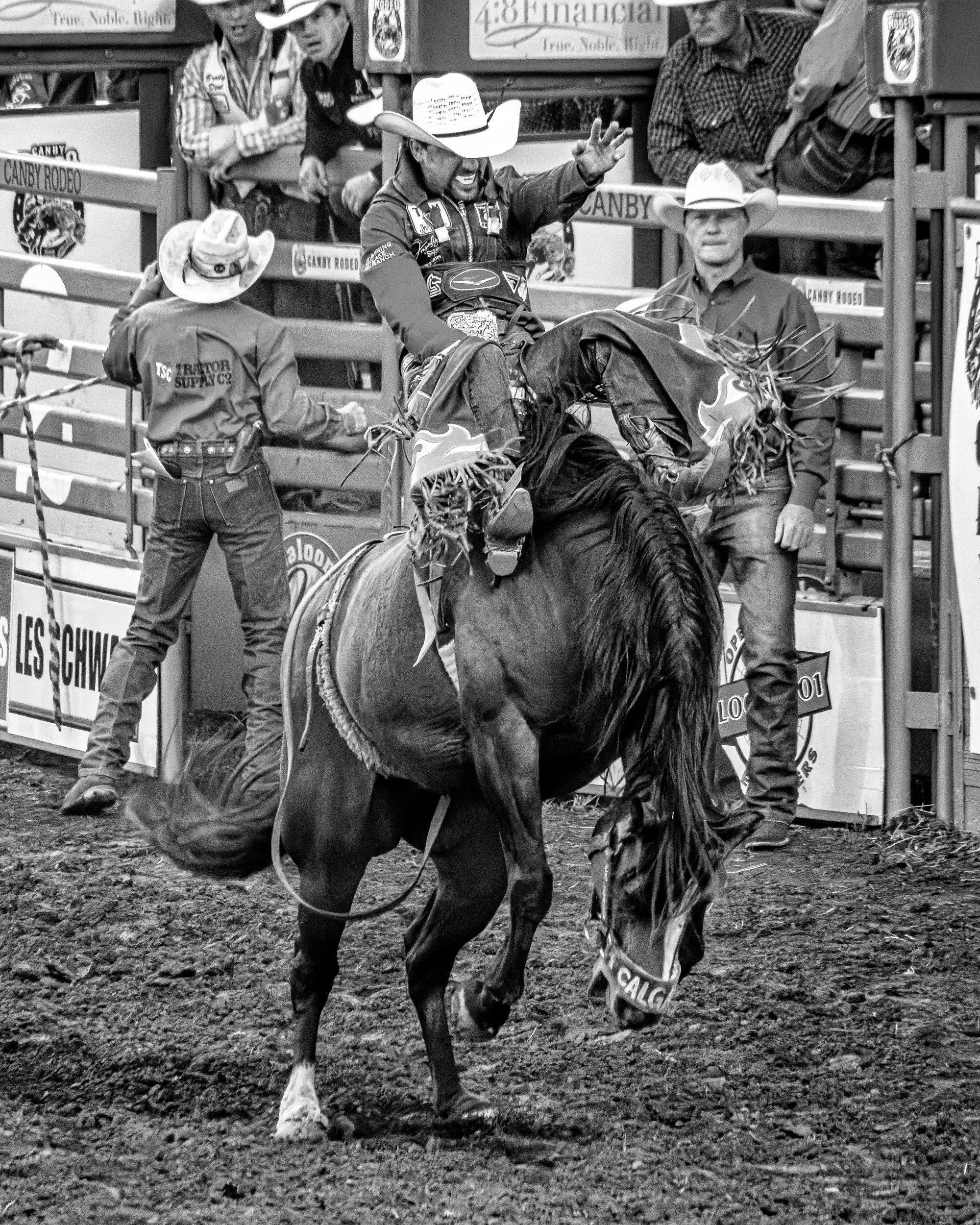 The Canby Rodeo