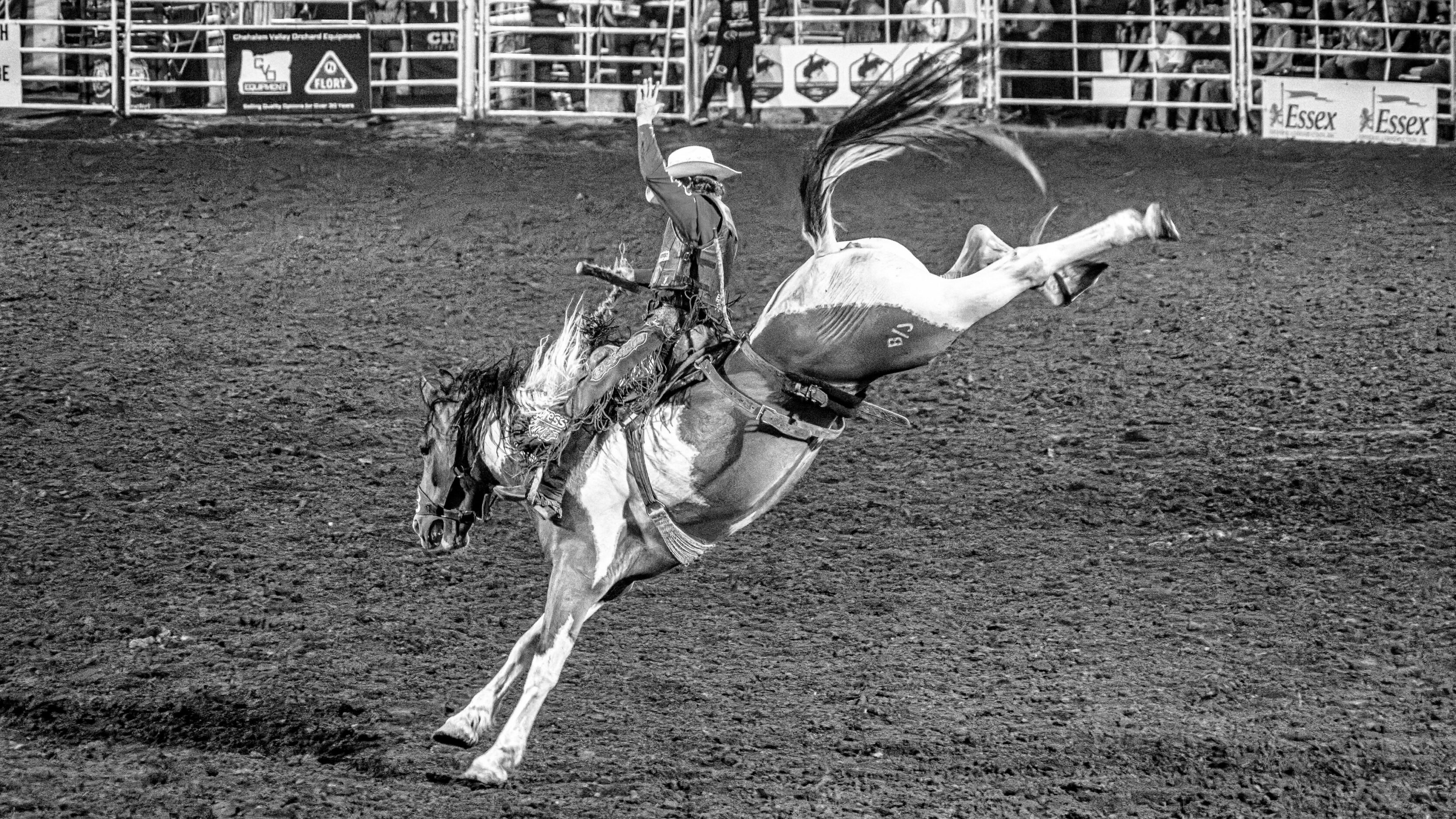Cowboy wearing a hat rides a bucking horse in a rodeo arena with spectators in the background.