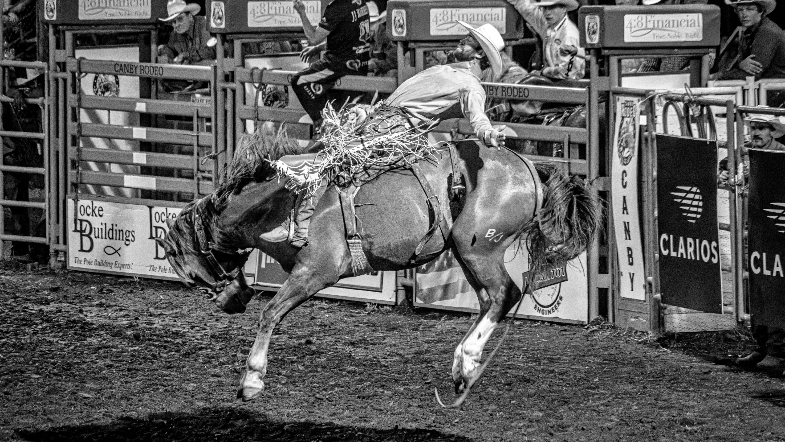 Cowboy wearing a hat rides a bucking horse in a rodeo arena with spectators in the background.