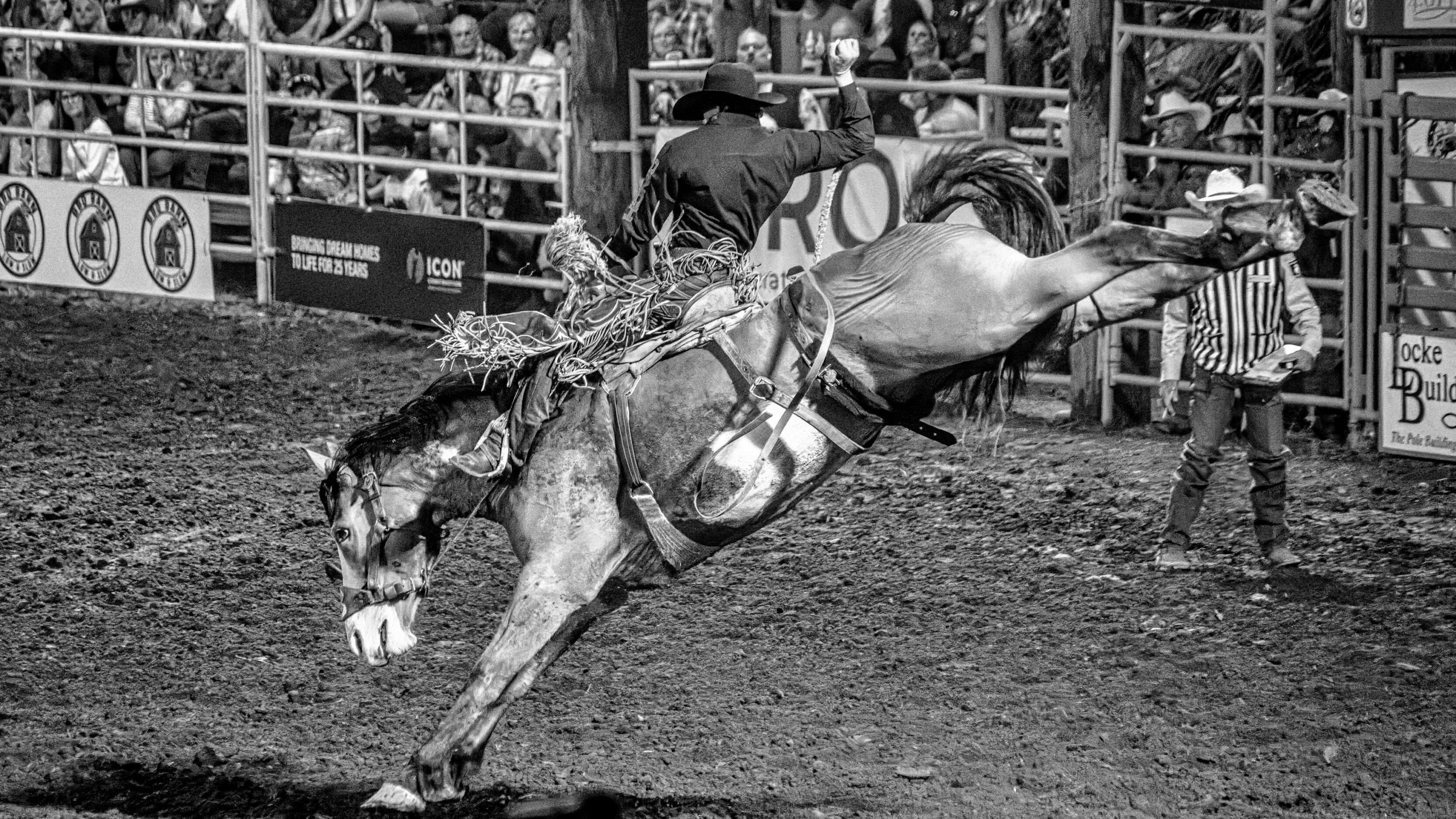 Cowboy wearing a hat rides a bucking horse in a rodeo arena with spectators in the background.