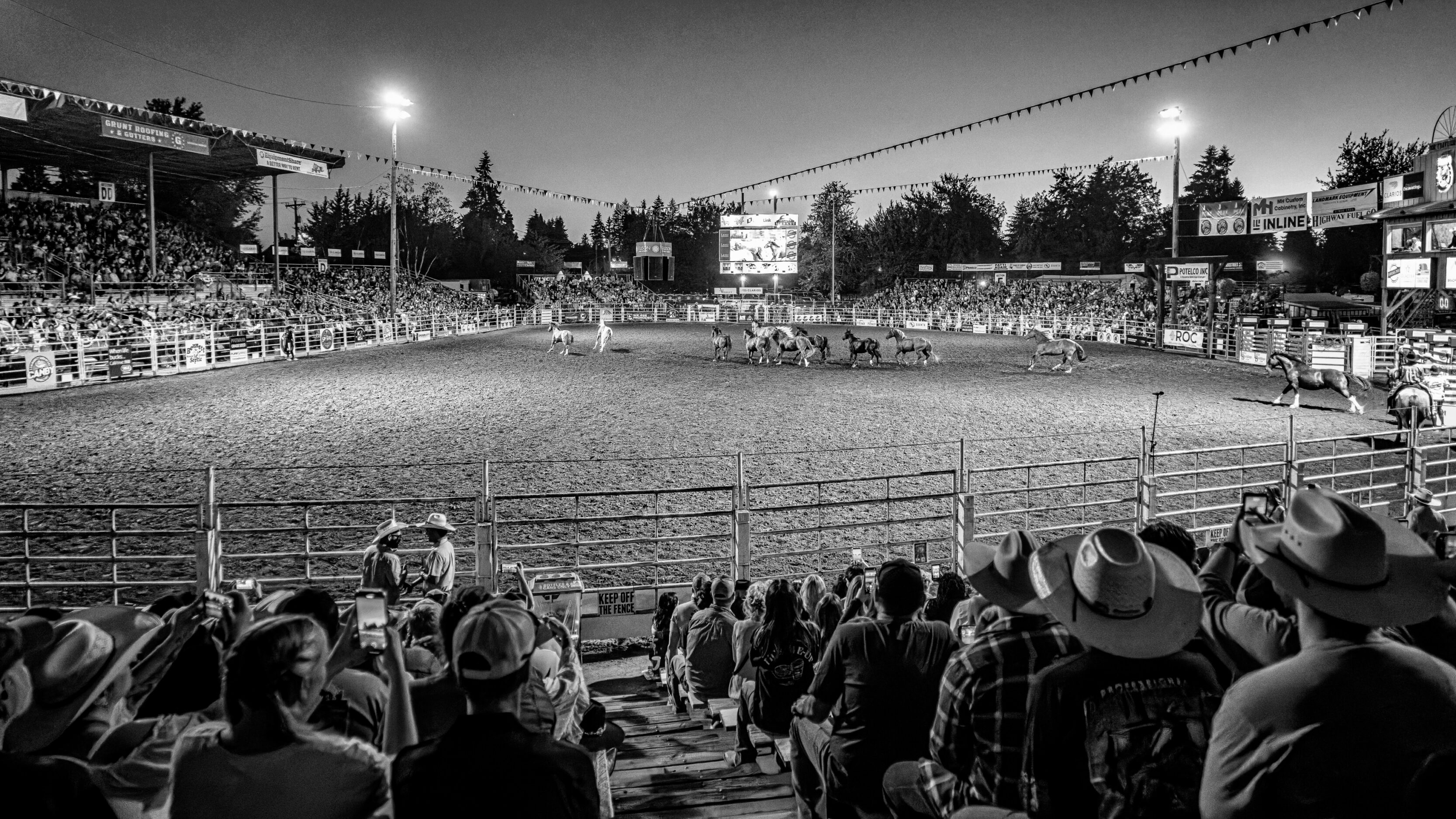 Horses at the Canby Rodeo