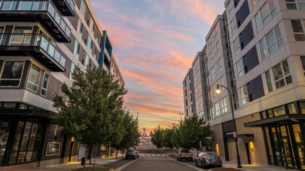 Sunset sky over a modern urban street lined with trees and mid-rise apartments, with parked cars along the curb.