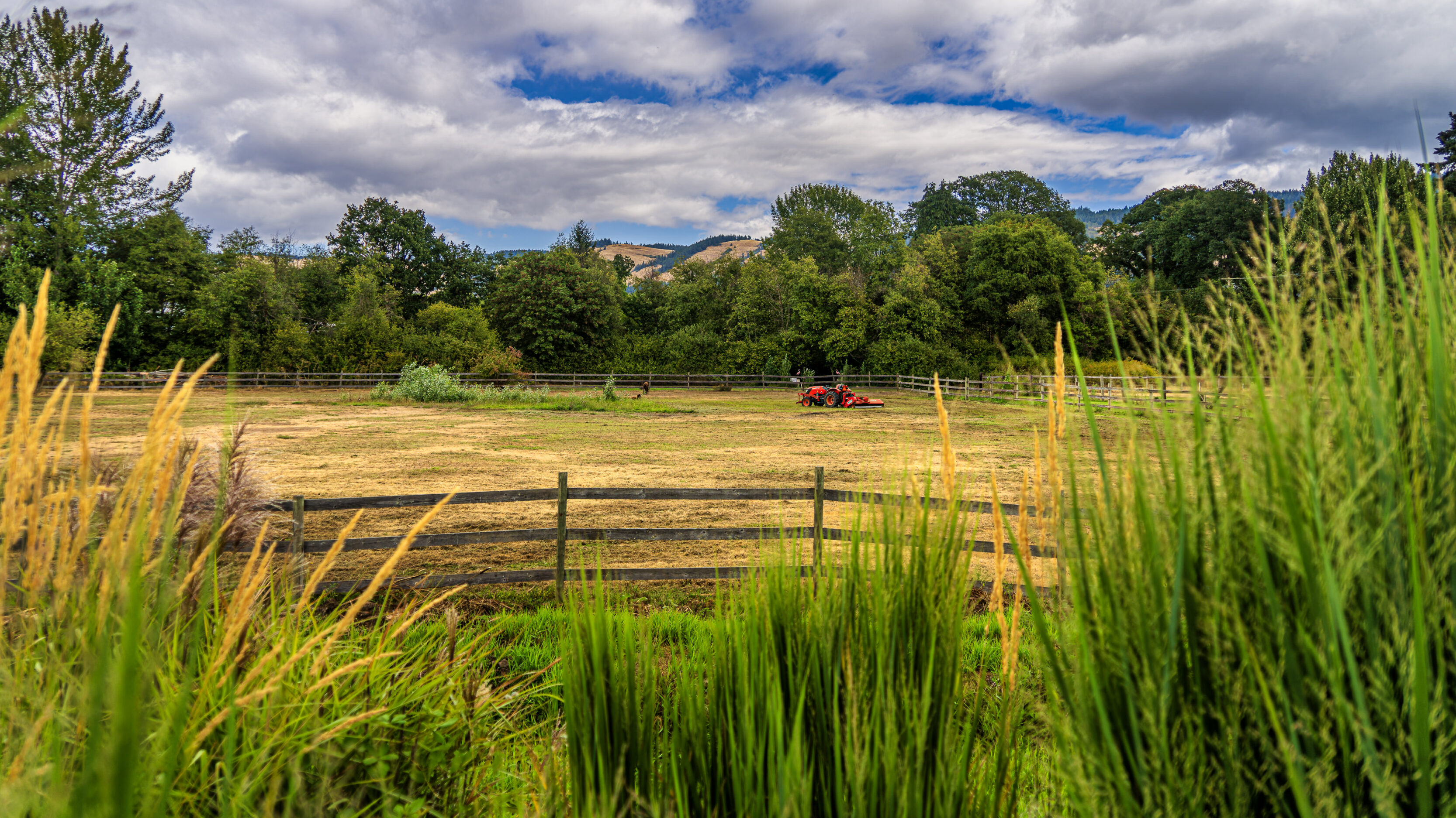 2026_08_29_Orchard_Winery_Scenic_0168-Edit_3840 ‣ In The Viewfinder Wy’East Vineyards
