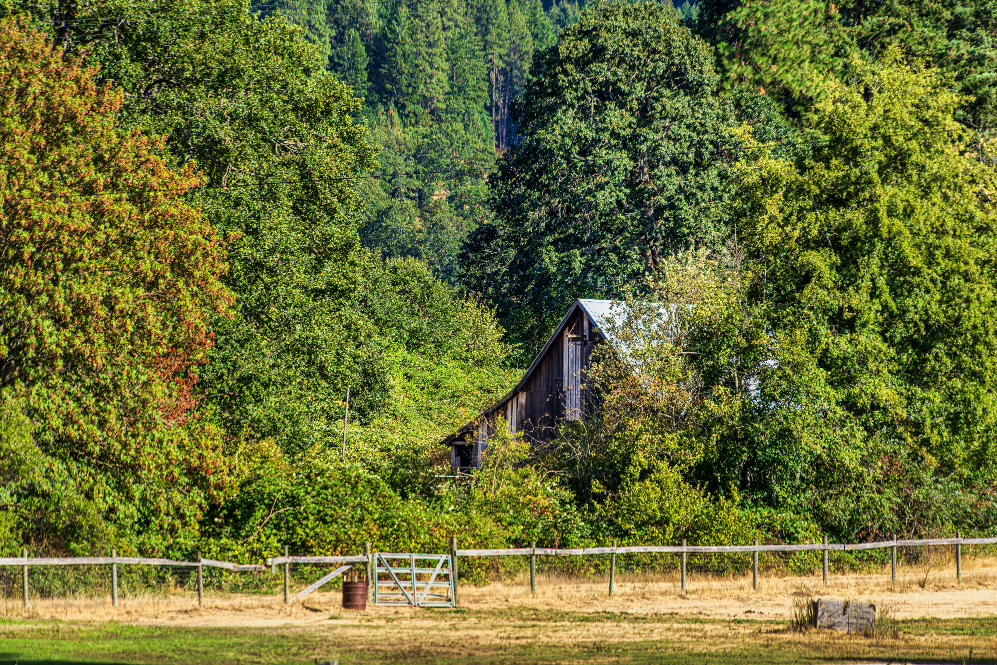 2026_08_29_Orchard_Winery_Scenic_0286-Edit_3840 ‣ In The Viewfinder Wy’East Vineyards