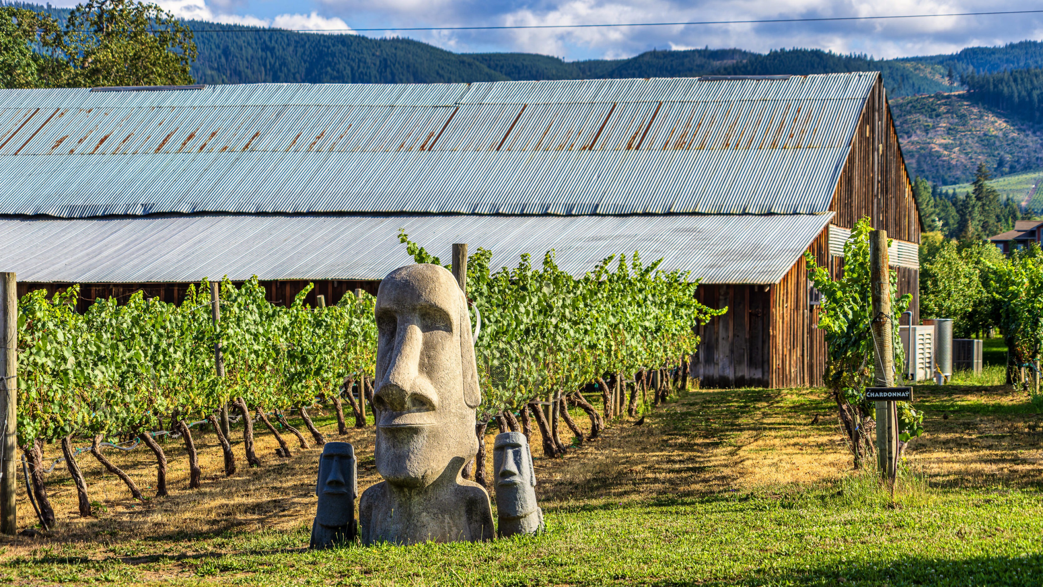 2026_08_29_Orchard_Winery_Scenic_0289-Edit_3840 ‣ In The Viewfinder Wy’East Vineyards