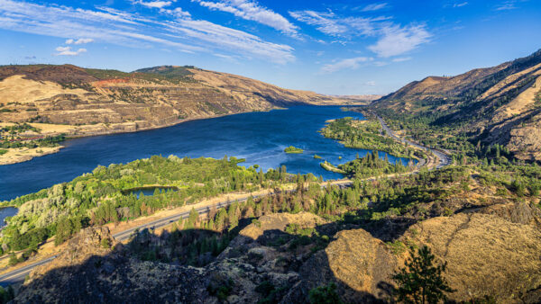 Rowena Crest Viewpoint - Wide river valley with blue water, tree-lined shore, and brown hills under a bright blue sky with scattered clouds.