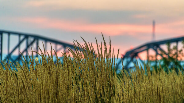 Waterfront Park Sunset