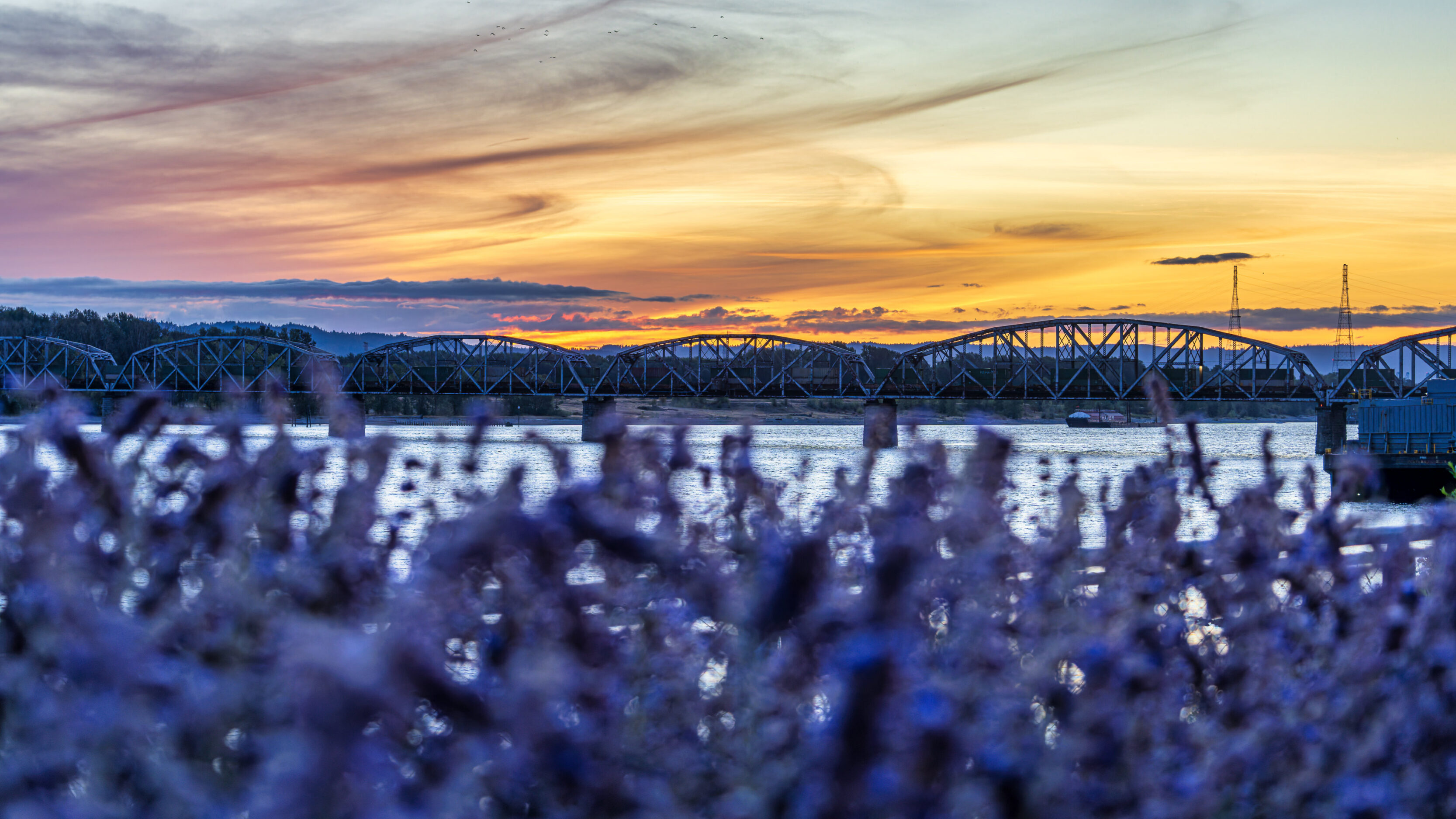 Sunset On The Waterfront