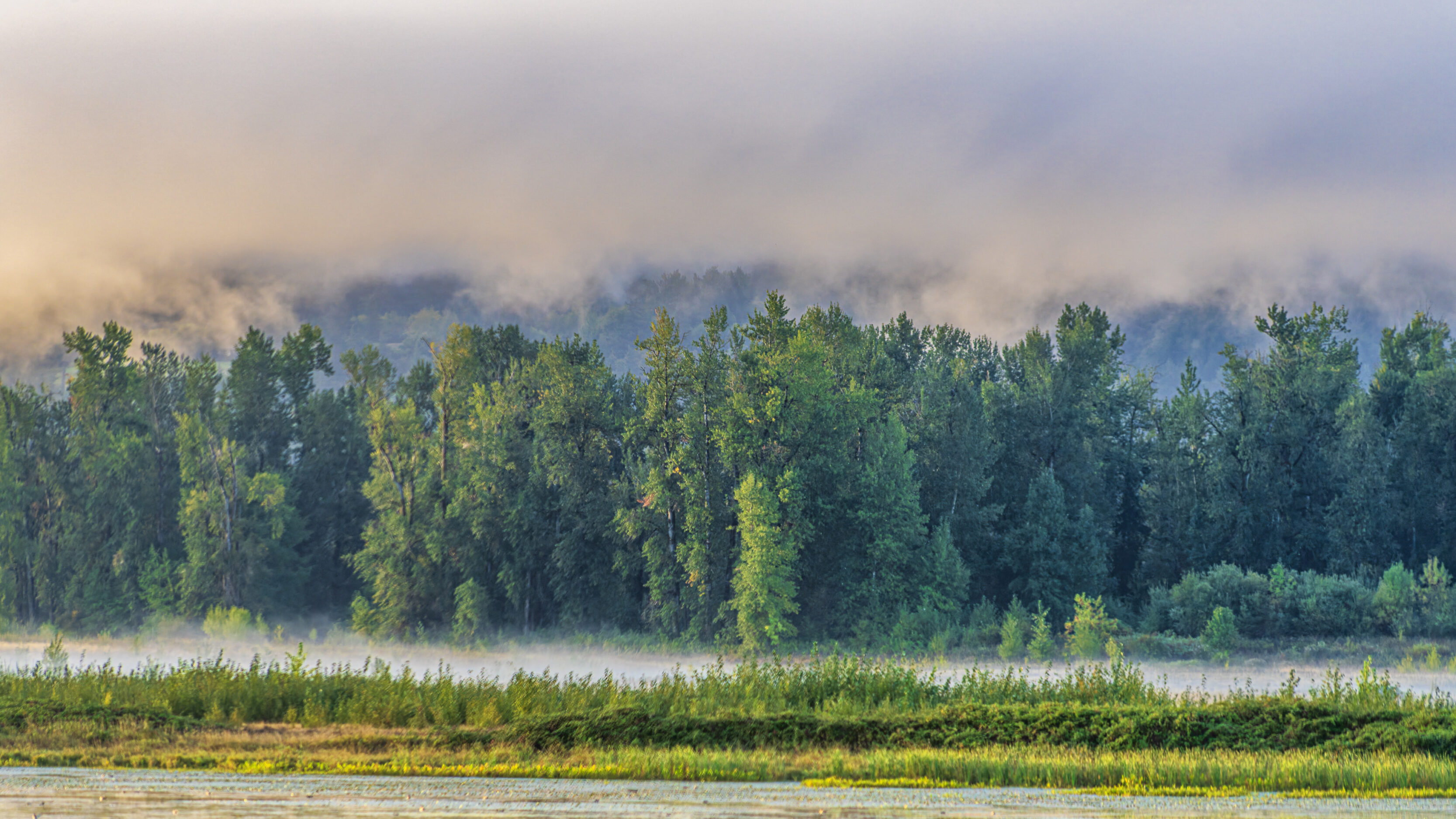 2026_09_26_Columbia_River_Gorge_0110-Edit_3840 ‣ In The Viewfinder Steigerwald Lake National Wildlife Refuge