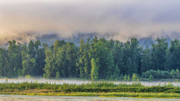 Steigerwald Lake National Wildlife Refuge