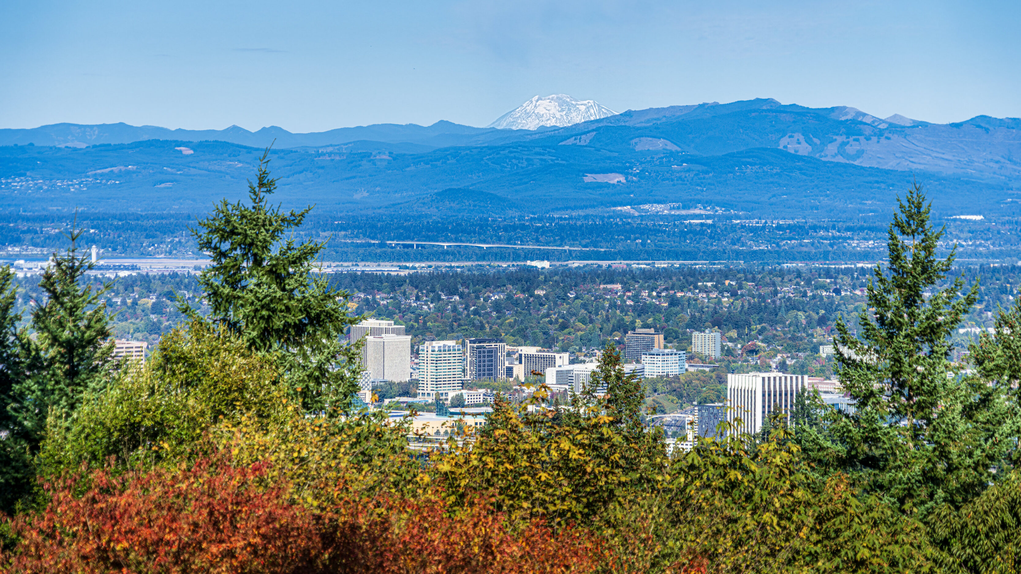 2026_09_27_Council_Crest_Park_0016-Edit_3840 ‣ In The Viewfinder A Perfect Frame For Portland's Epic Mountain Vistas City skyline at the base of blue mountains, with a snow-capped peak in the distance and evergreen trees in the foreground.