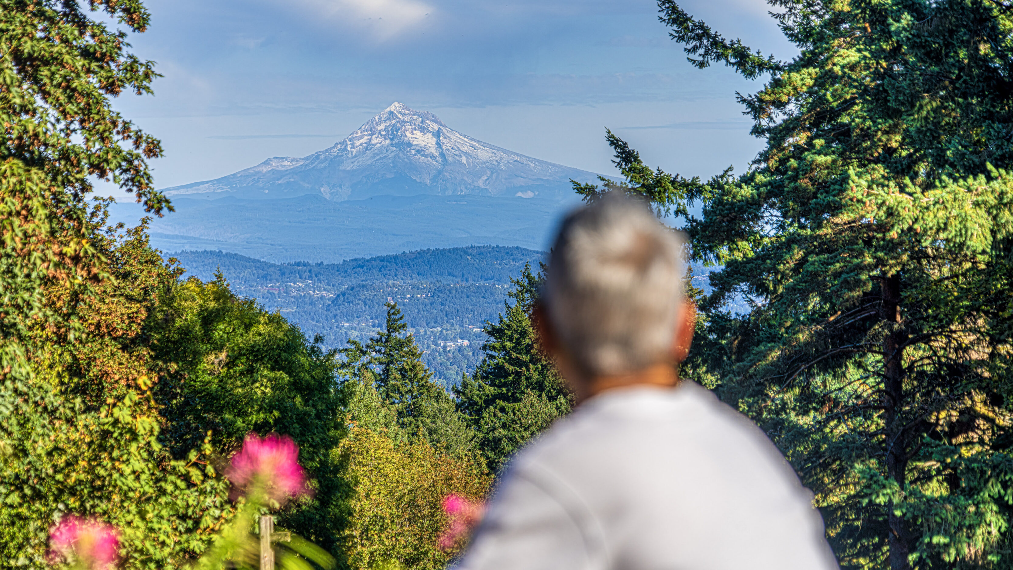 2026_09_27_Council_Crest_Park_0022-Edit_3840 ‣ In The Viewfinder Back of a person standing in a garden looking toward a snow-capped mountain framed by evergreen trees.