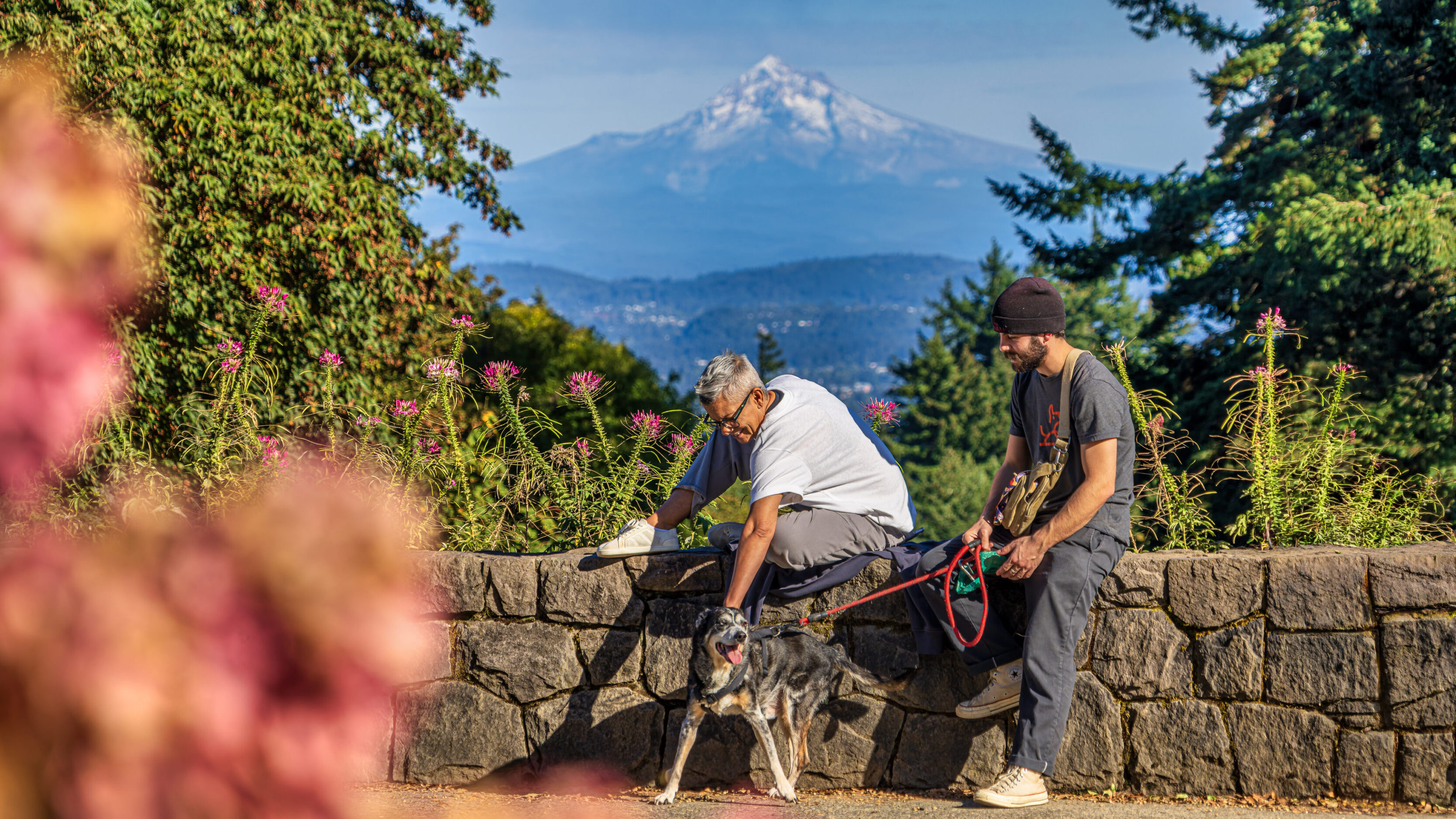 2026_09_27_Council_Crest_Park_0035-Edit_3840 ‣ In The Viewfinder Two men with a dog on a leash beside a stone wall, vibrant flowers in foreground, mountains in the distance.