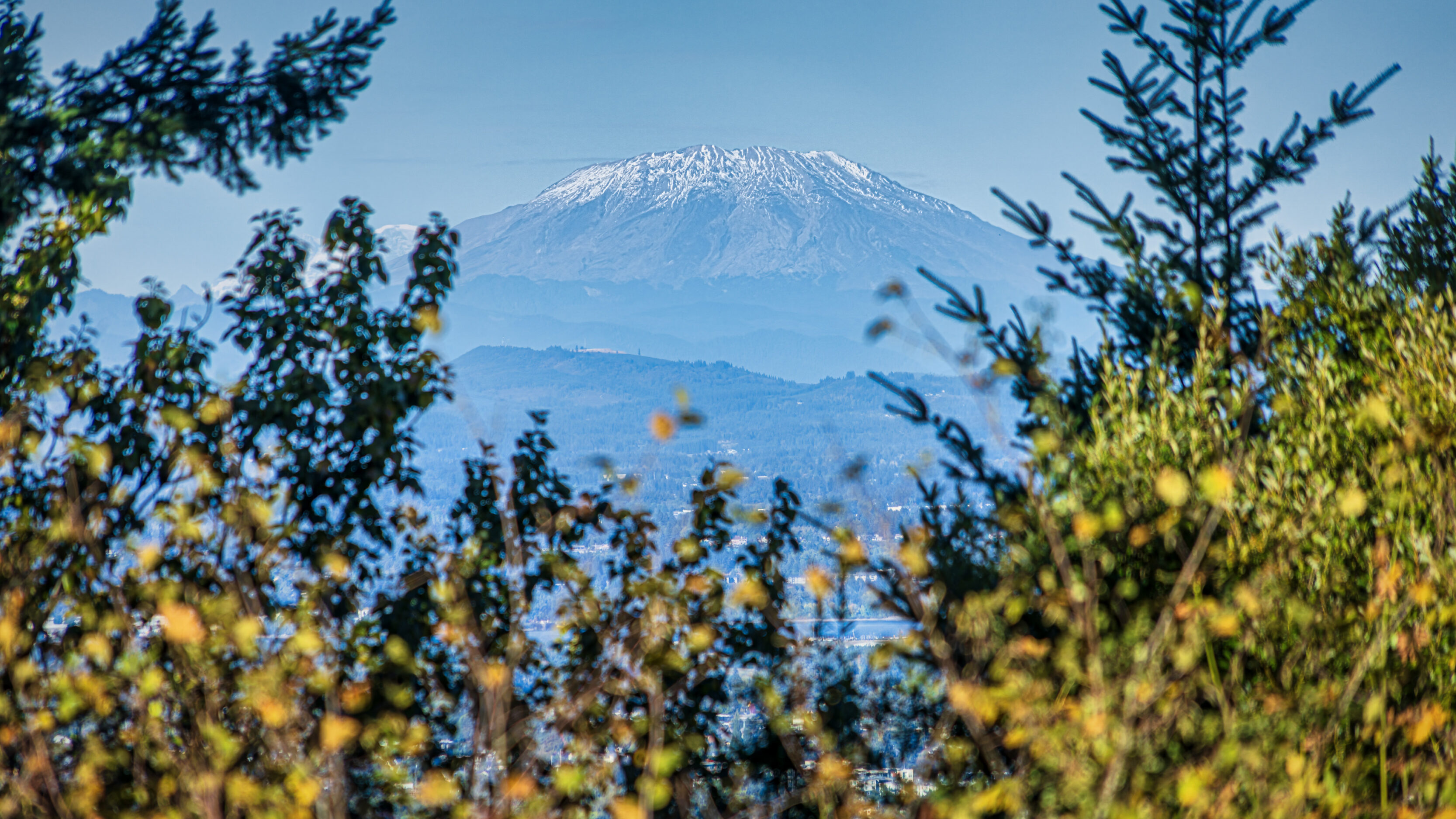 2026_09_27_Council_Crest_Park_0043-Edit_3840 ‣ In The Viewfinder A Frame For Portland's Epic Mountain Vistas