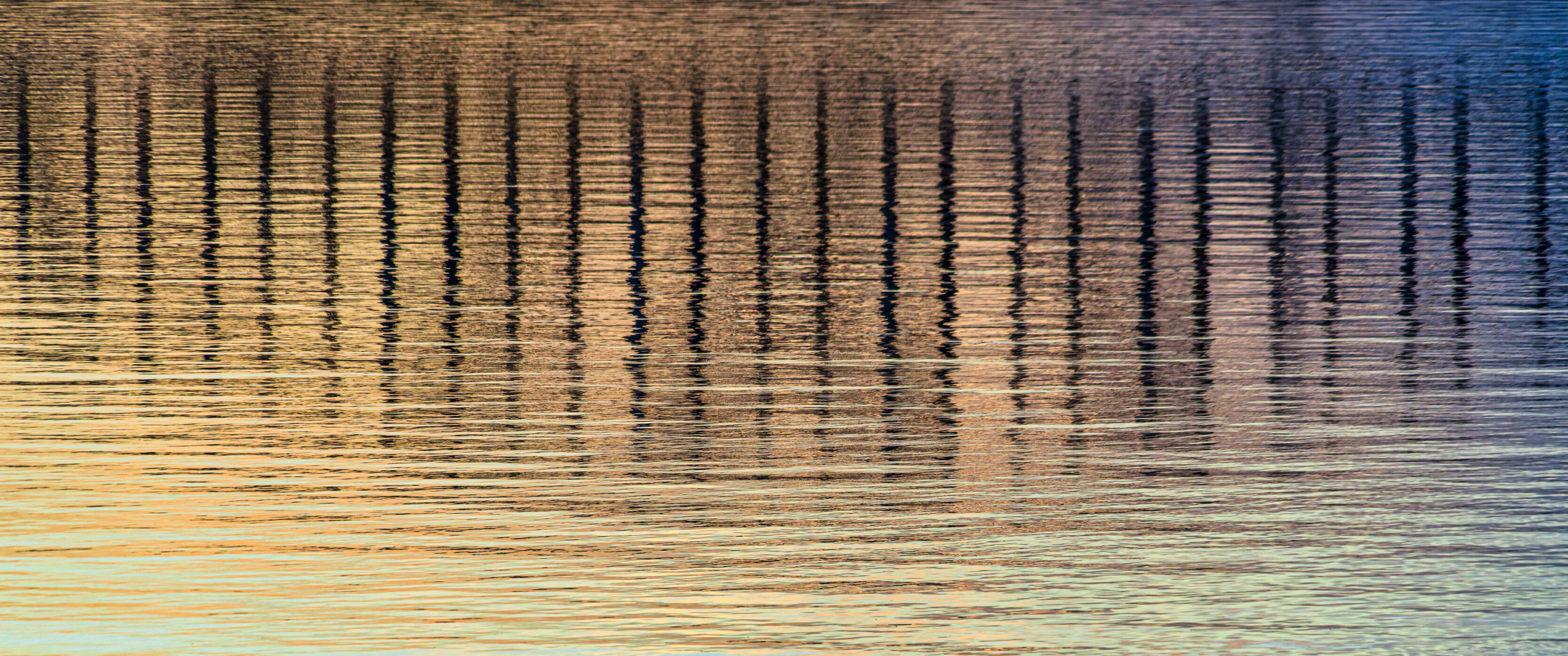 2026_10_12_Waterfront_Sunset_0013-Edit_3840 ‣ In The Viewfinder Sunset over a calm lake with dark vertical reflections of trees and warm orange–blue colors.